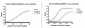 Anti-Insulin Antibody (6E9F1)